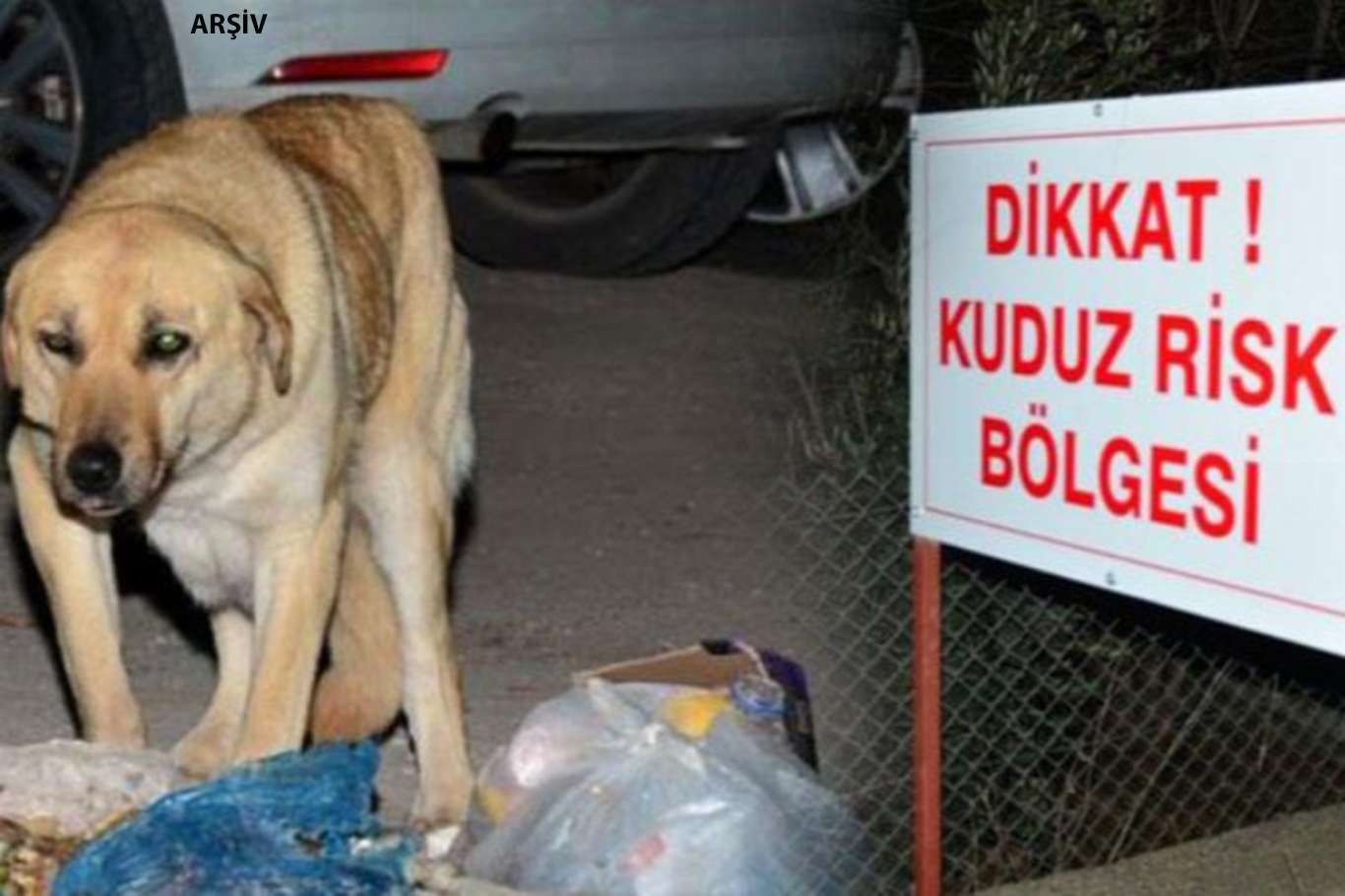 Hatay'da bir mahallede kuduz nedeniyle karantina Hatay'da bir mahallede kuduz nedeniyle karantina